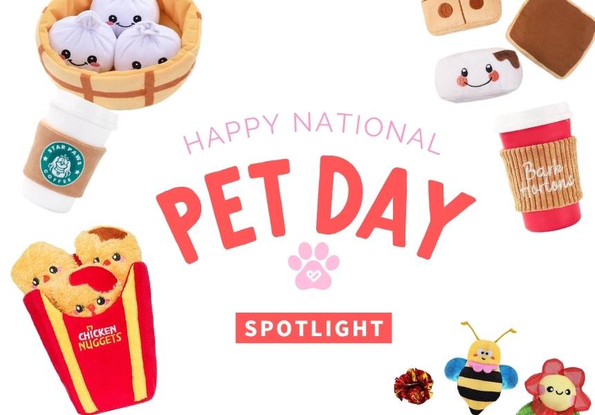 Silver Icing Celebrate National Pet Day with HugSmart