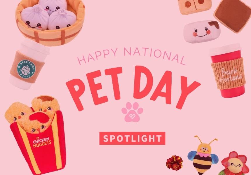 Silver Icing Celebrate National Pet Day with HugSmart