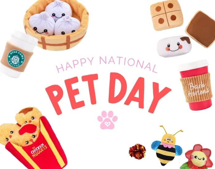 Celebrate National Pet Day with HugSmart