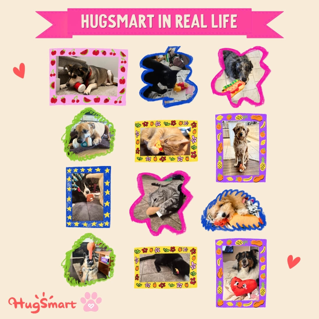 Silver Icing Spotlight: Celebrate National Pet Day with HugSmarts